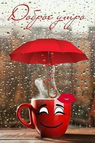 Good morning