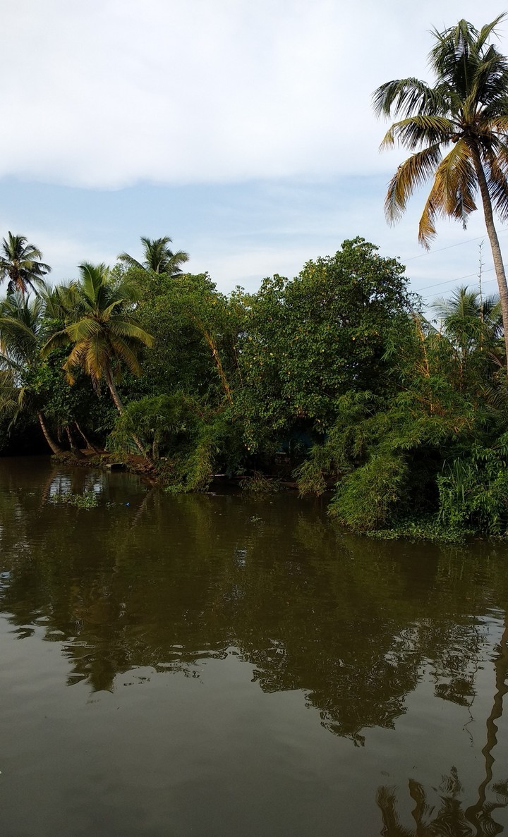 kerala backwaters