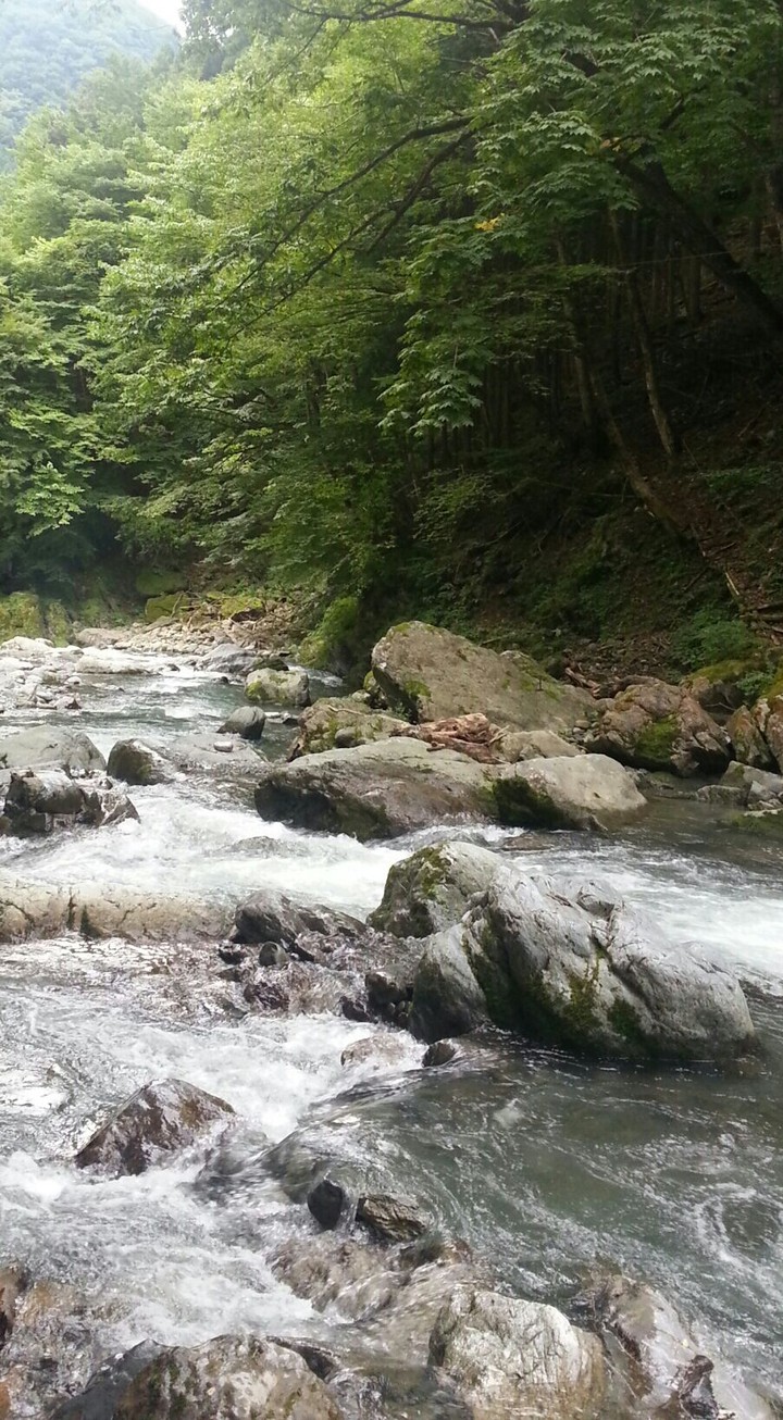 Okutama's river