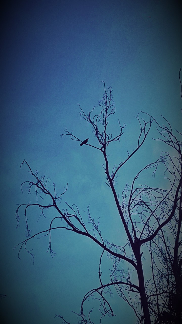 mistery