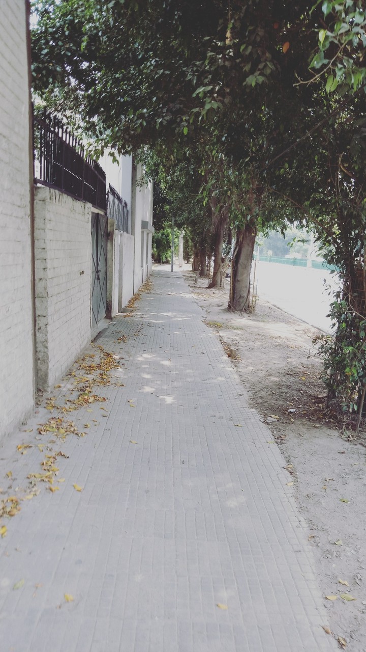 Alone