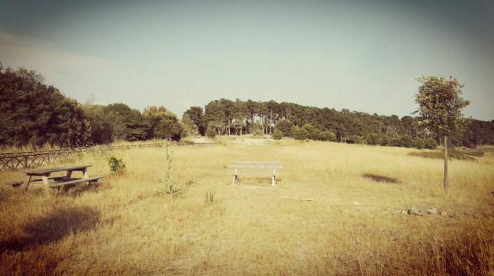 Walking in the park