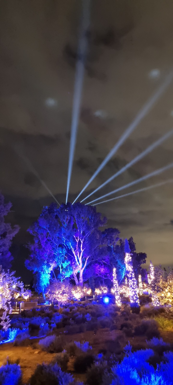 Lights