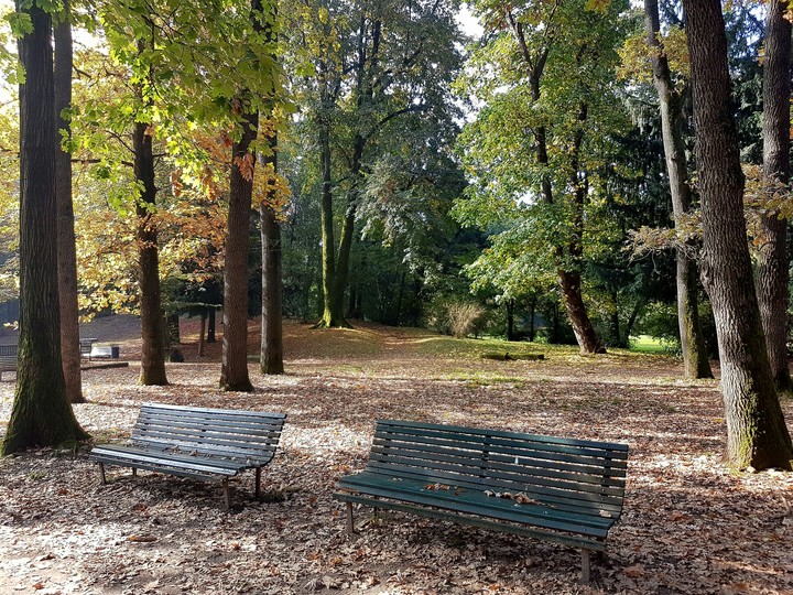Autunno nel parco