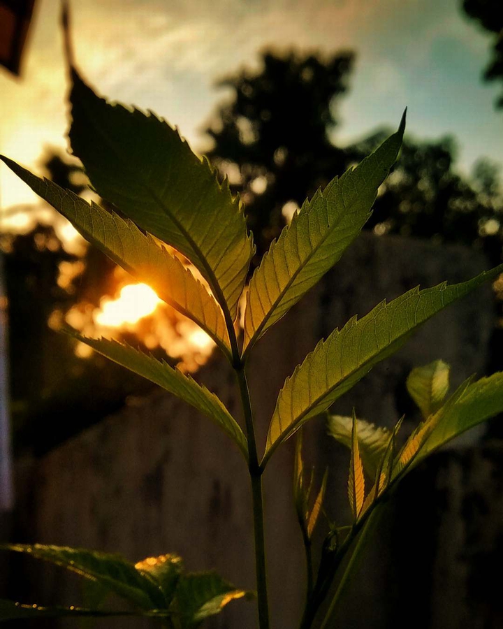 EVENING ? Beauty