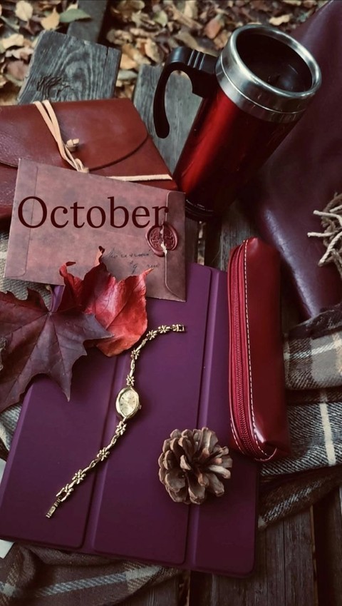 Bag, Luggage_&_bags, Leather