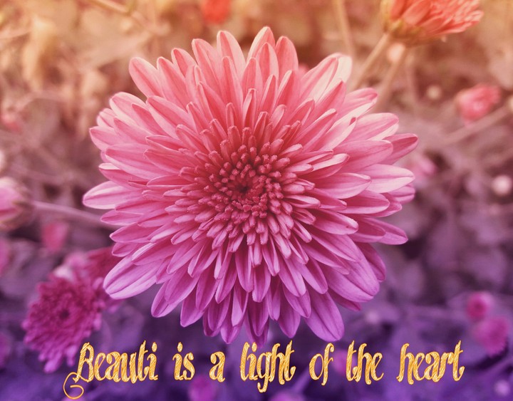 My beauti is in my heart.