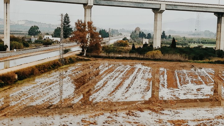 Ebro