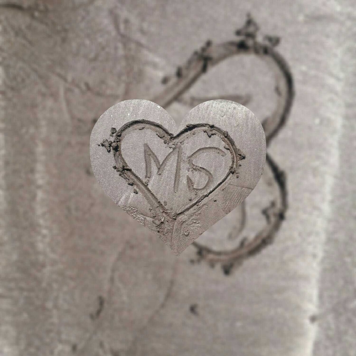 ms