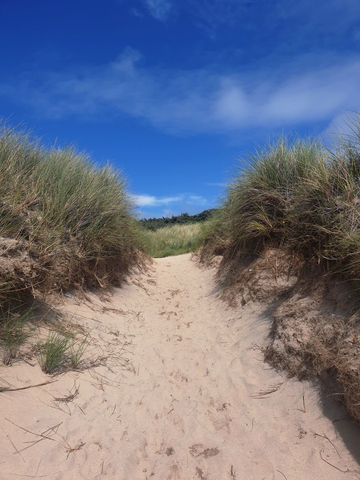 Hayle Beach