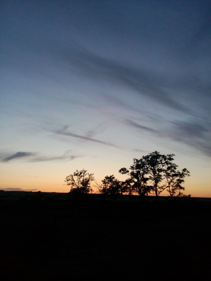 beautiful nature