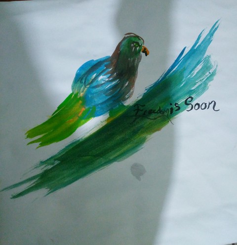 bird