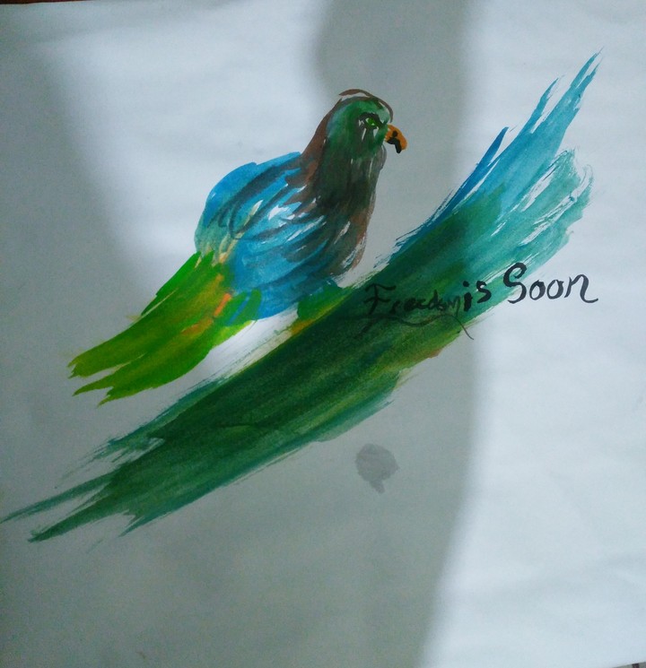 bird