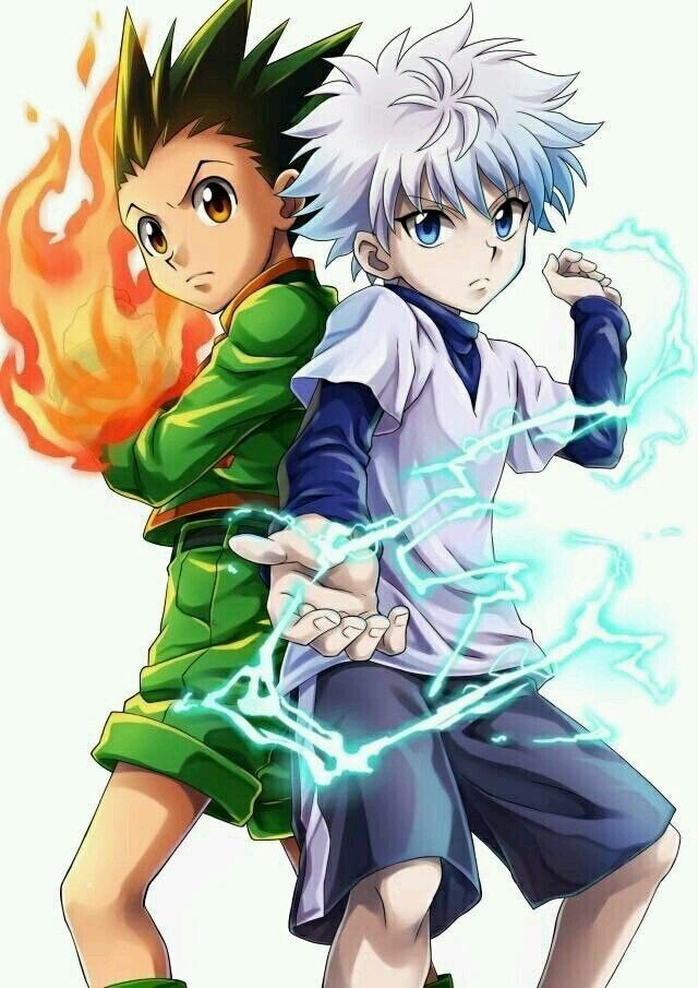hunter x hunter