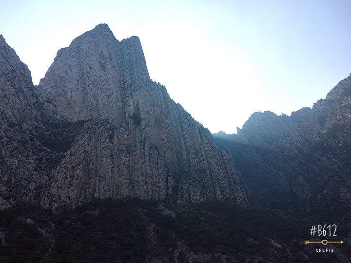 HUASTECA REGIA
