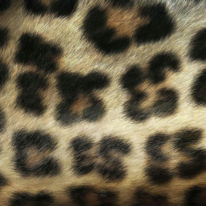 wallpaper9
