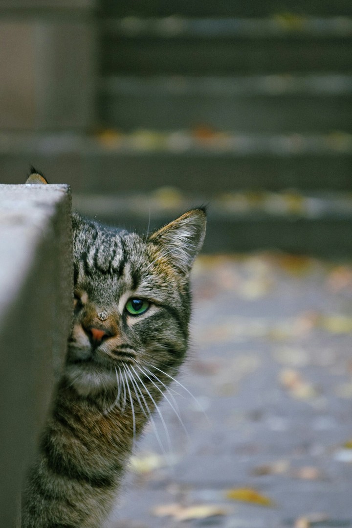 Hi there!?
