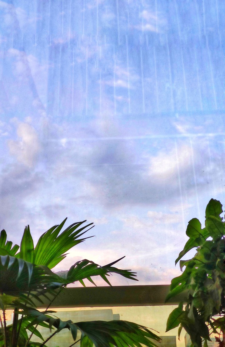 sneak peaks through window