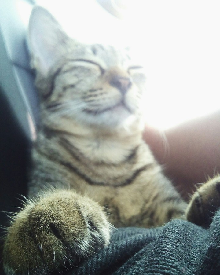 ♥