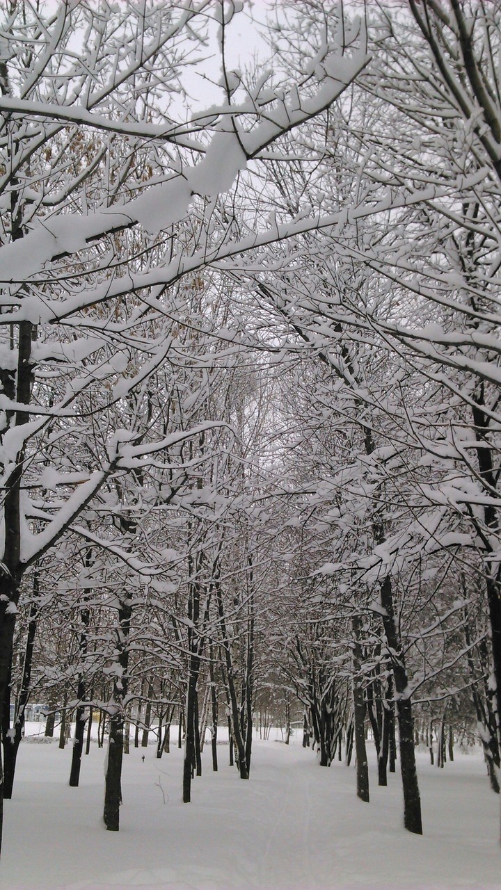 winter