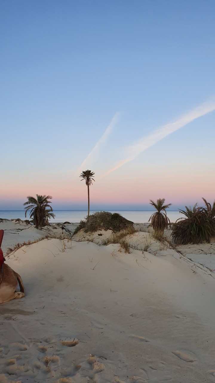 crépuscule Tunisie
