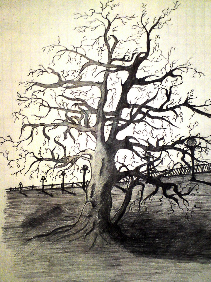 tree
