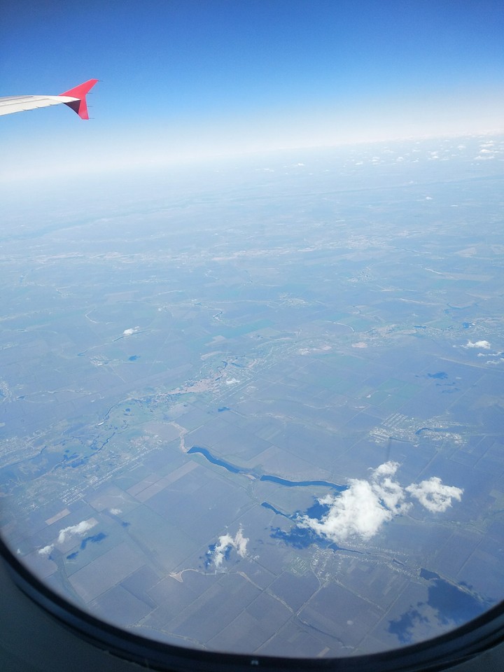 fly