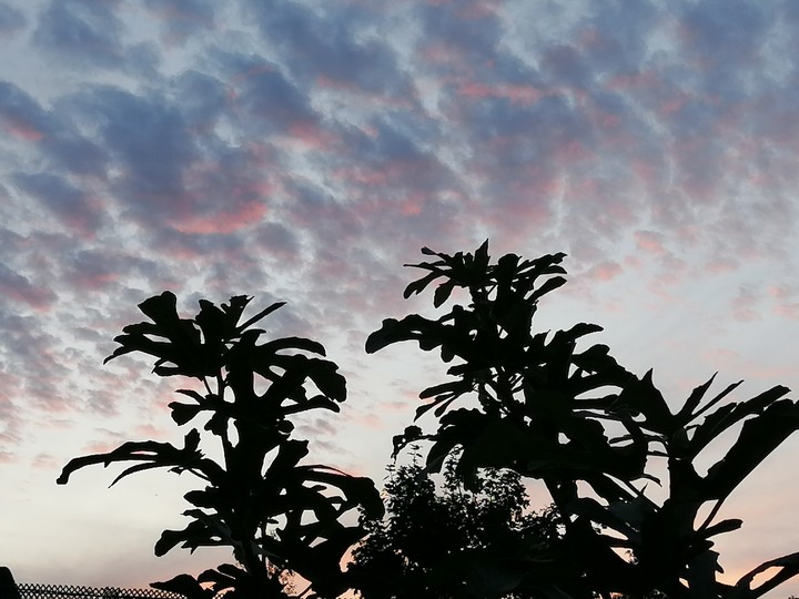 sky
