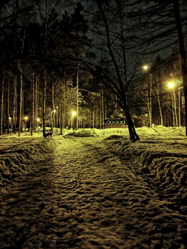 Park