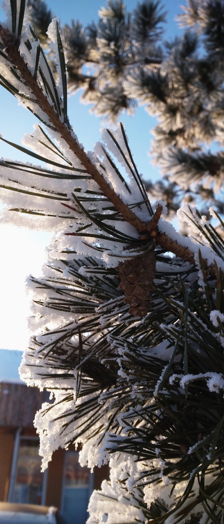 winter cool