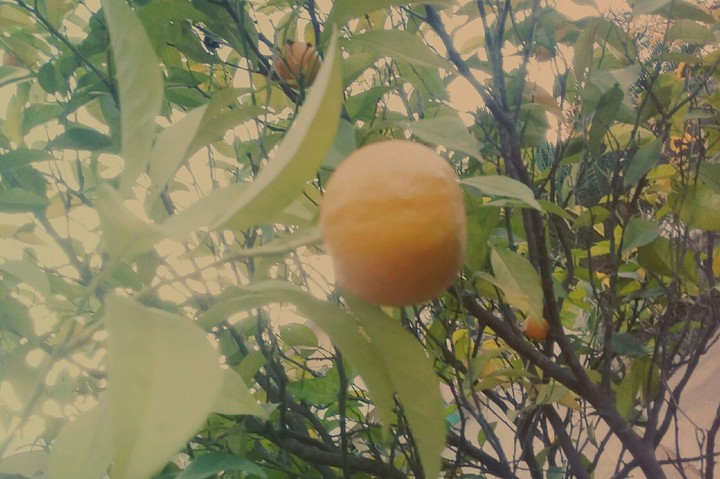 orange