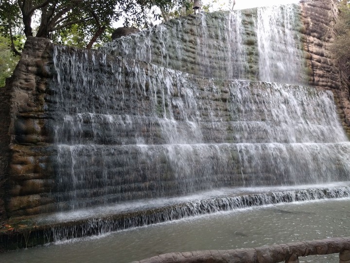 Rock garden