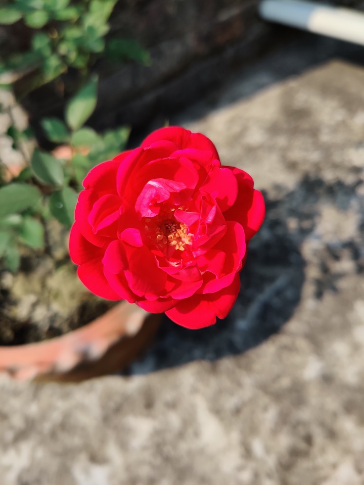 ❤