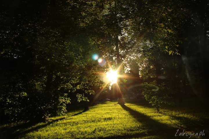 hello sun