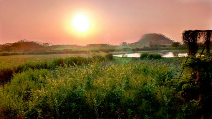 landscape of sunset