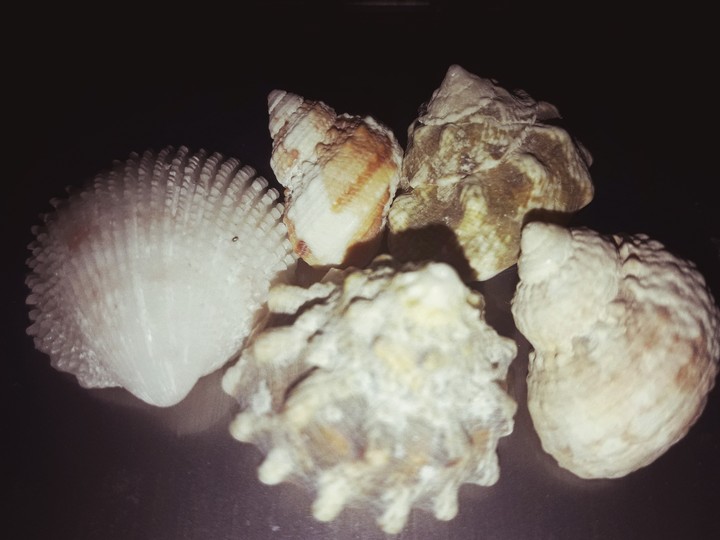 Caracolas