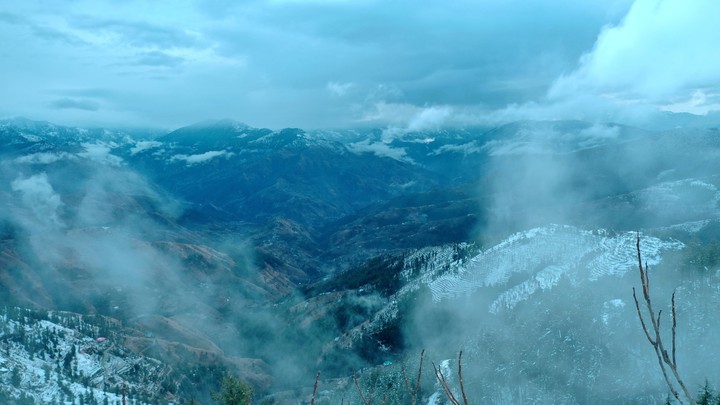 Mountain Mist