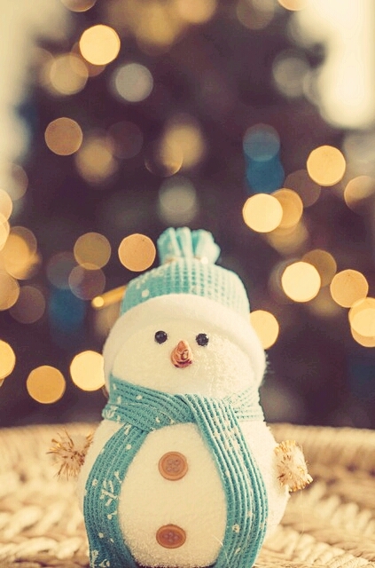 osito de nieve
