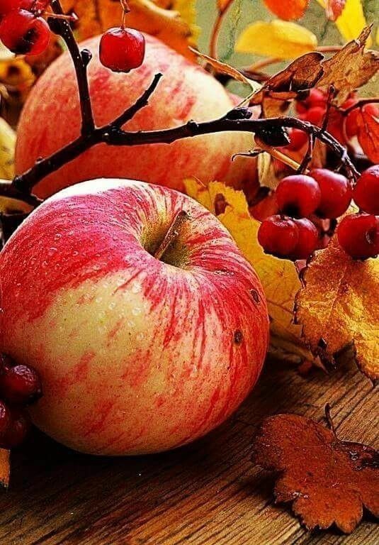 autumn harvest