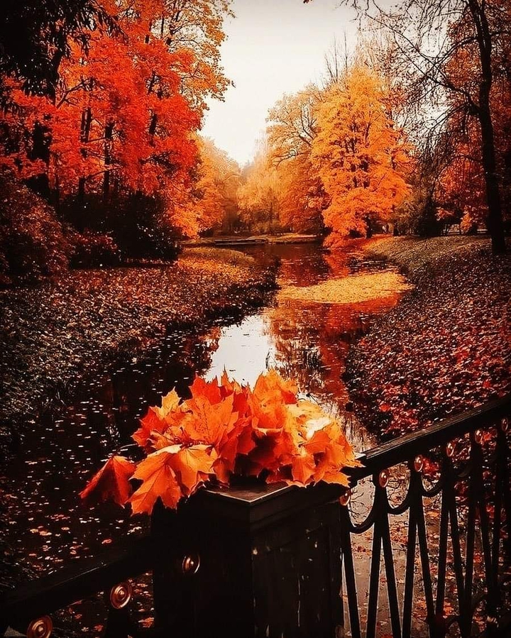 осень