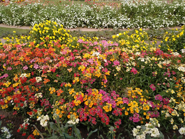 Spring