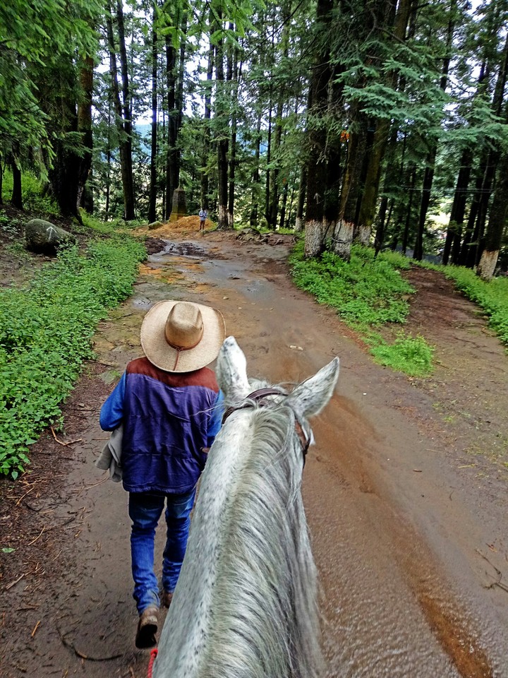 caballo