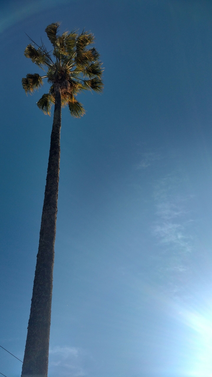 blue sky