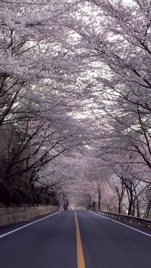 Road