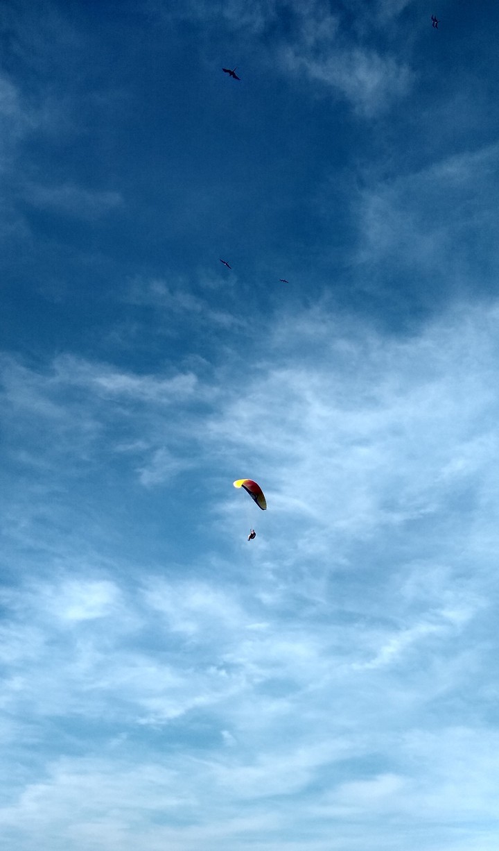 Paraglider Balneário Camboriú