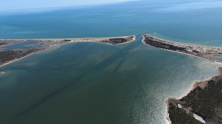 Cape Cod