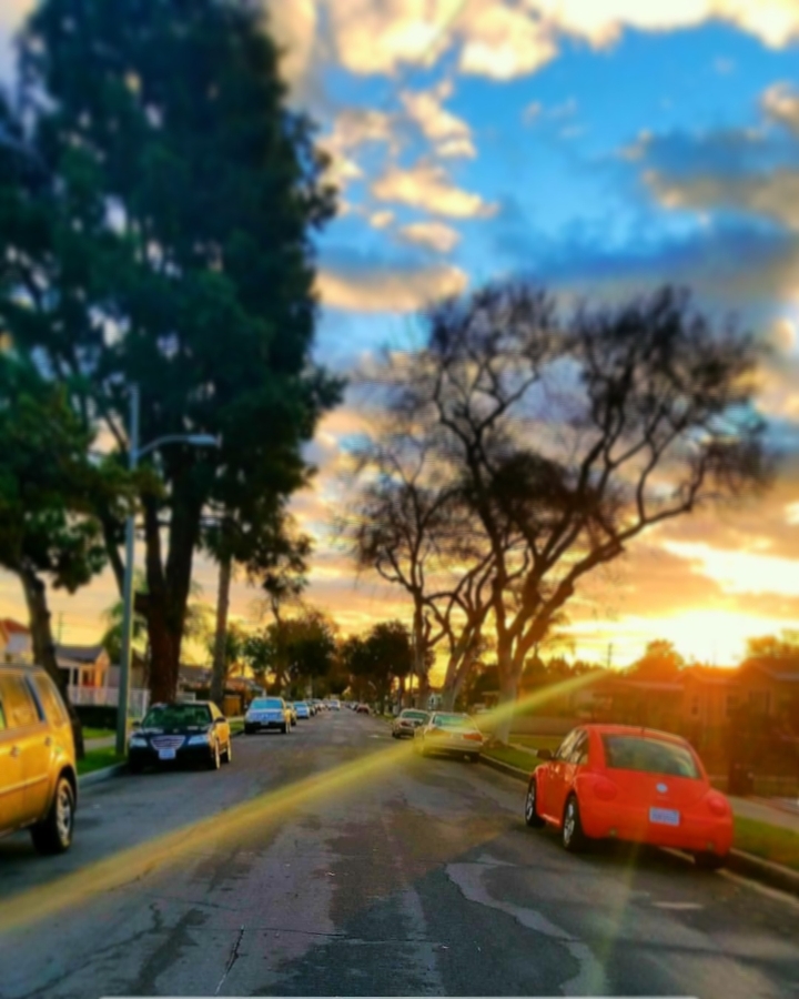 sunset 