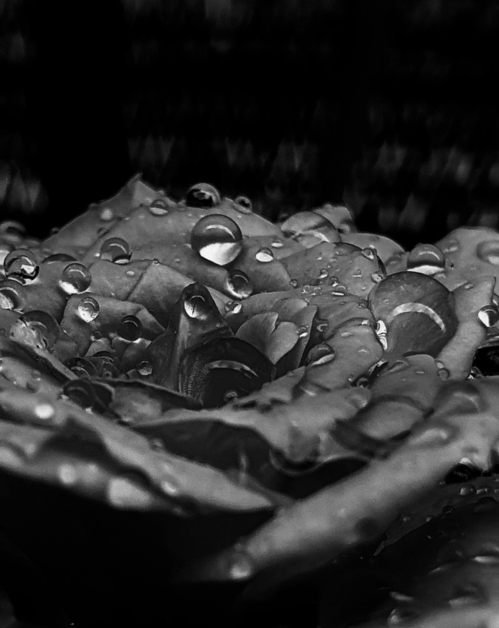 drops