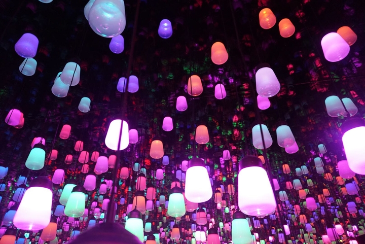 teamlab@shenzhen