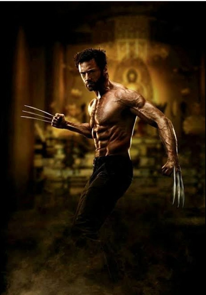 wolverine